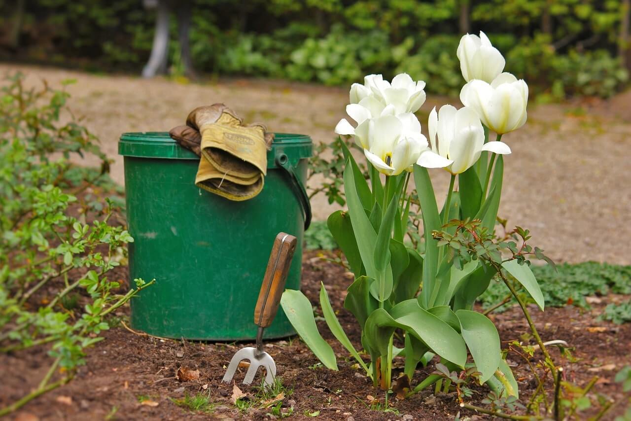 Garden-Scaping